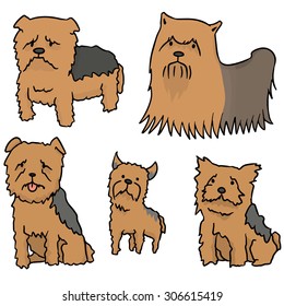 vector set of yorkshire terrier