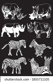 Vector set of zebras and rhinoceroses on black background, graphical illustration