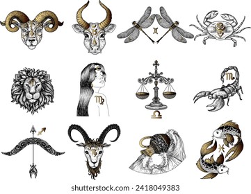 Vektorset von Tierkreiszeichen. Aries, Taurus, Gemini, Krebs, Leo, Virgo, Libra, Scorpio, Sagittarius, Capricorn, Aquarius, Pisces