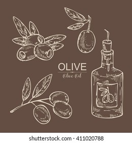 Vector set:bottle with olive oil, olive , olive branch. hand drawn 