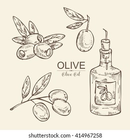 Vector set:bottle with olive oil, olive , olive branch. hand drawn 