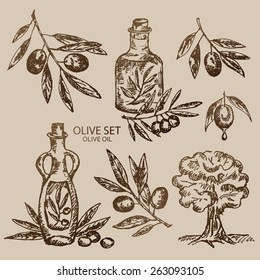 Vector set:bottle with olive oil, olive tree, olive branch. hand drawn 