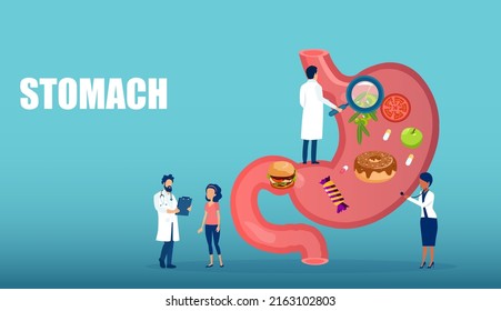 Vector de varios médicos que examinan la nutrición del paciente y el estómago 