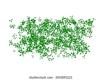 a vector of several green leaves
