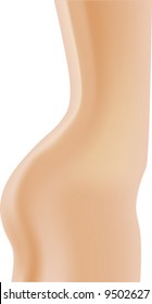 vector of sexy body of a lady