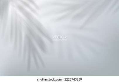 Vector shadow effect background. Tropical leaves minimalistic backdrop for your design.