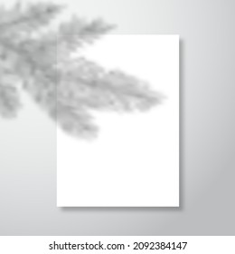 Vector shadow overlay of Christmas tree fir with blank paper letterhead sheet. New Year stationery greetings transparent background spruce branches decoration template. Light effect for mockups