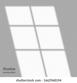 Vector shadow overlay effect. Transparent soft light and shadows from window. Mockup of transparent shadow overlay effect and natural lightning. 10 eps mesh.