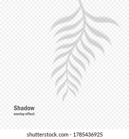 Vector shadow overlay effect. Transparent soft light and shadows from branches, plant and leaves. Mockup of transparent leaf shadow and natural lightning.