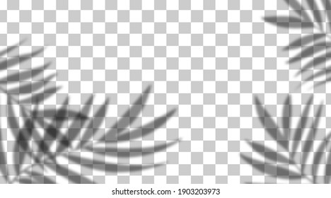 Vector shadow overlay effect. Transparent soft light and shadows from branches, plant and leaves. Mockup of transparent leaf shadow and natural lightning.