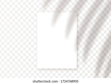 Vector shadow overlay. Vector transparent palm leaves shadow and a4 card