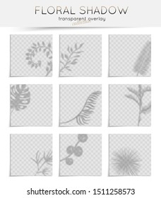 Vector shadow overlays for mockup presentations. Transparent shadows of leaves