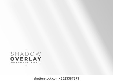 Vector con superposiciones de sombras sobre fondo transparente