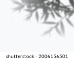 Vector Shadow of Tree Leaves. Decorative Design Element for Presentations and Mockups. Realistic Overlay Effect