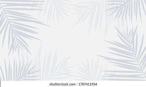 Vector shadow from tropical palm leaves on the white floor. Workplace and relaxation on the beach