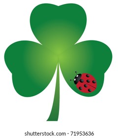 vector shamrock with ladybug