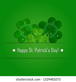 vector shamrocks and frame on green background