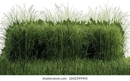 Vector shape cut out, green grass field, fresh meadow, nature landscape, outdoor scenery, lush plants, bright grass, field view, spring garden, lush green vegetation