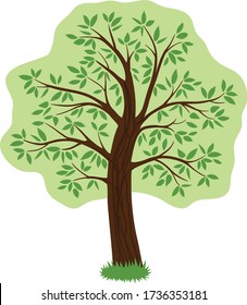 Vector shape of green tree silhouette with leaves. 