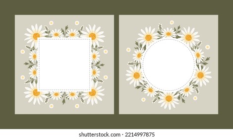 Vector shape of white daisy flowers frame, Floral border box label of wreath ivy style with branch and leaves.