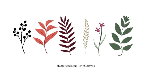 Vector shapes of organic objects