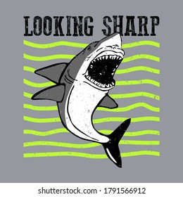 vector of shark, animal, predator on the sea, unique vector for t shirt or poster,looking sharp