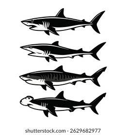 Vector shark art collection, Isolated on white background