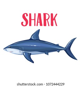 Vector shark. Cartoon icon badge fish for design seafood product and market.