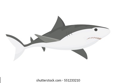 Vector shark character.