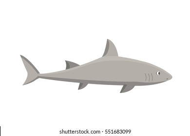 Vector shark character.