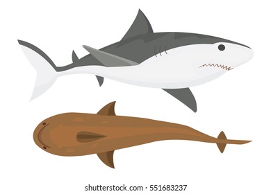 Vector shark character.