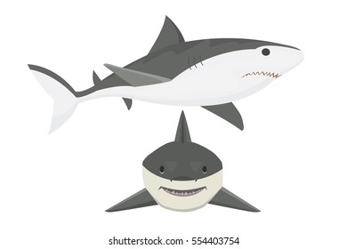 Vector shark character.