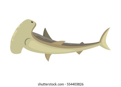 Vector shark character.