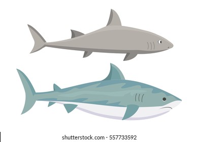 Vector shark character.