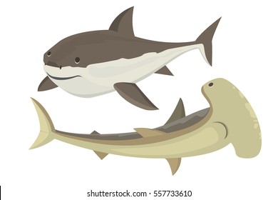 Vector shark character.