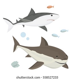 Vector shark character.