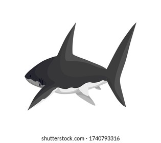 Caracter vectorial de tiburón. Animales submarinos. Gran depredador marino peligroso. Ilustración de la fauna marina