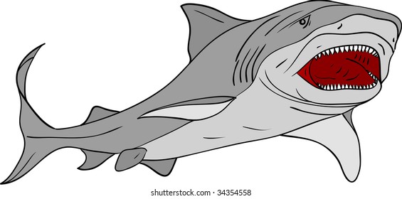 vector - shark colored isolated on background