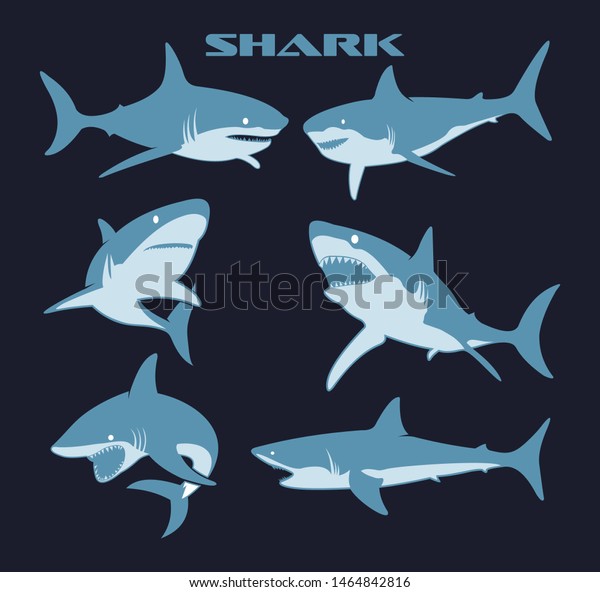 ベクターシャークのコミックスタイルのキャラクター野生魚セット 怖いサメ にこにこ笑うあご 泳ぐサメ 水中の海の怪獣大海のサメのキャラクター のベクター画像素材 ロイヤリティフリー
