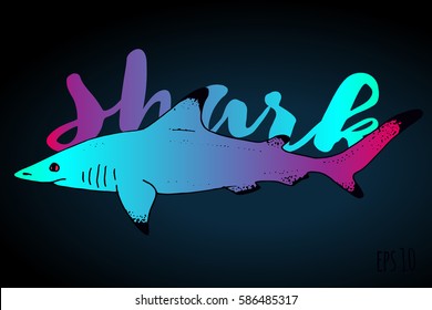 Vector shark hand drawn illustration with wild sea animal. Sea life sketch with predator dangerous fish with lettering, calligraphy text