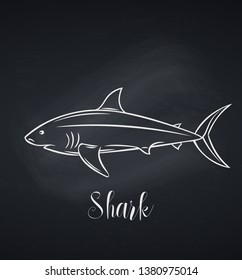 Vector shark icon. Retro engraved badge shark fish for design seafood product, menu and shop, blackboard style.