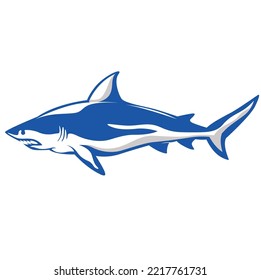 vector of shark vector illustration concept graphics