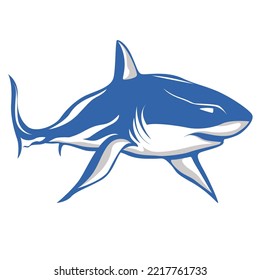 vector of shark vector illustration concept graphics