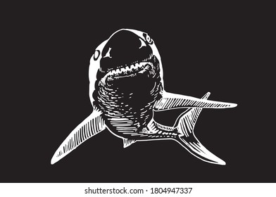 Tiburón vector aislado en fondo negro,ilustración gráfica