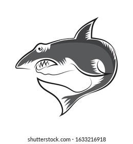 Vector Shark Isolated on White Background. Fish Animal Logo.
