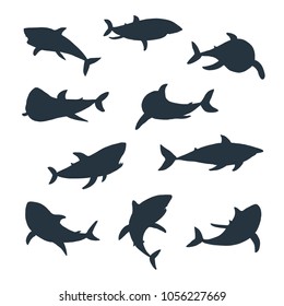 Vector shark sea animal wild hand drawn doodle illustrations silhouette set.