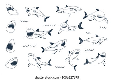 Vector shark sea animal wild hand drawn doodle illustrations set.