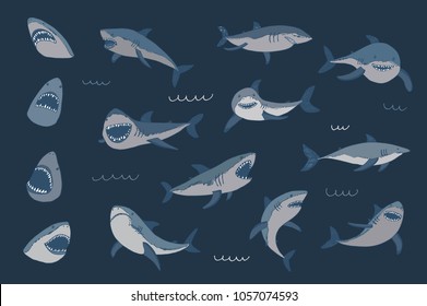 Vector shark sea animal wild hand drawn doodle illustrations set.