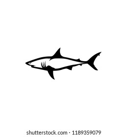 vector shark silhouette