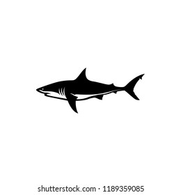 vector shark silhouette